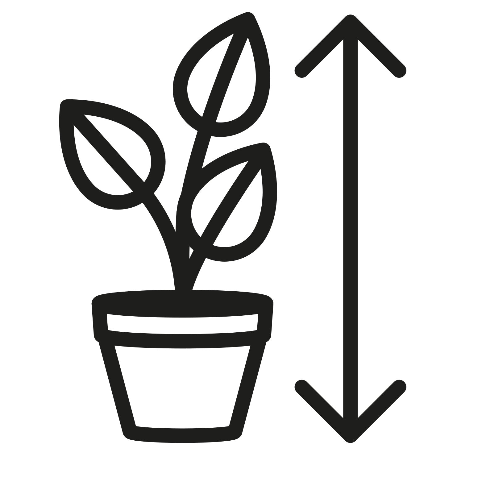 Hoogte pictogram