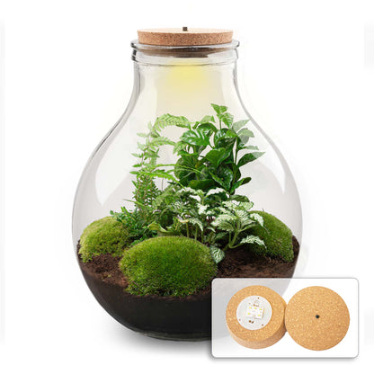 Big Paul Green XL terrarium DIY kit with cork lid, designed for bottle garden displays, by Florazo NL, over 40 cm tall.