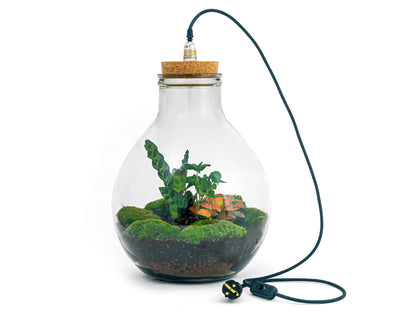 Big Paul Red XL terrarium DIY kit with LED light, showcasing a lush bottle garden landscape inside a 40 cm tall glass container.