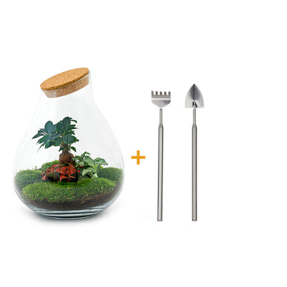 Florazo NL DIY Terrarium Kit with glass container, soil, plants, and decorative elements for creating a mini indoor garden.