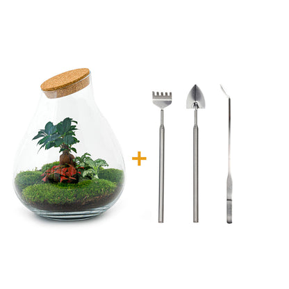 Florazo NL DIY terrarium kit with glass container, soil, plants, and decorative elements for creating a miniature indoor garden.