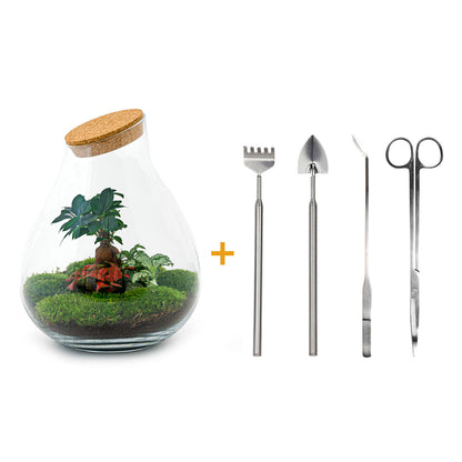 Florazo NL DIY terrarium kit with glass container, bonsai plants, soil, and decorative elements for creating a stylish indoor terrarium.