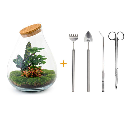 Red closed DIY terrarium kit from Florazo NL featuring glass container, plants, and decorative elements for creating a mini indoor garden.