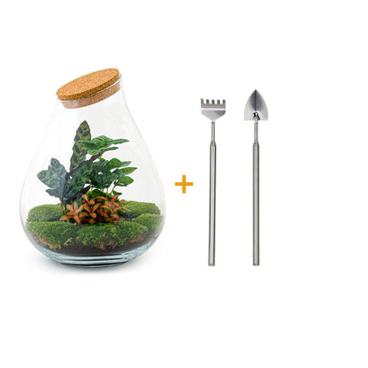 Red DIY terrarium kit with tools from Florazo NL, including glass container, plants, and accessories for creating a custom terrarium.