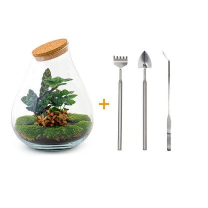 Red DIY terrarium kit from Florazo NL with tools and supplies for creating a custom indoor plant terrarium.