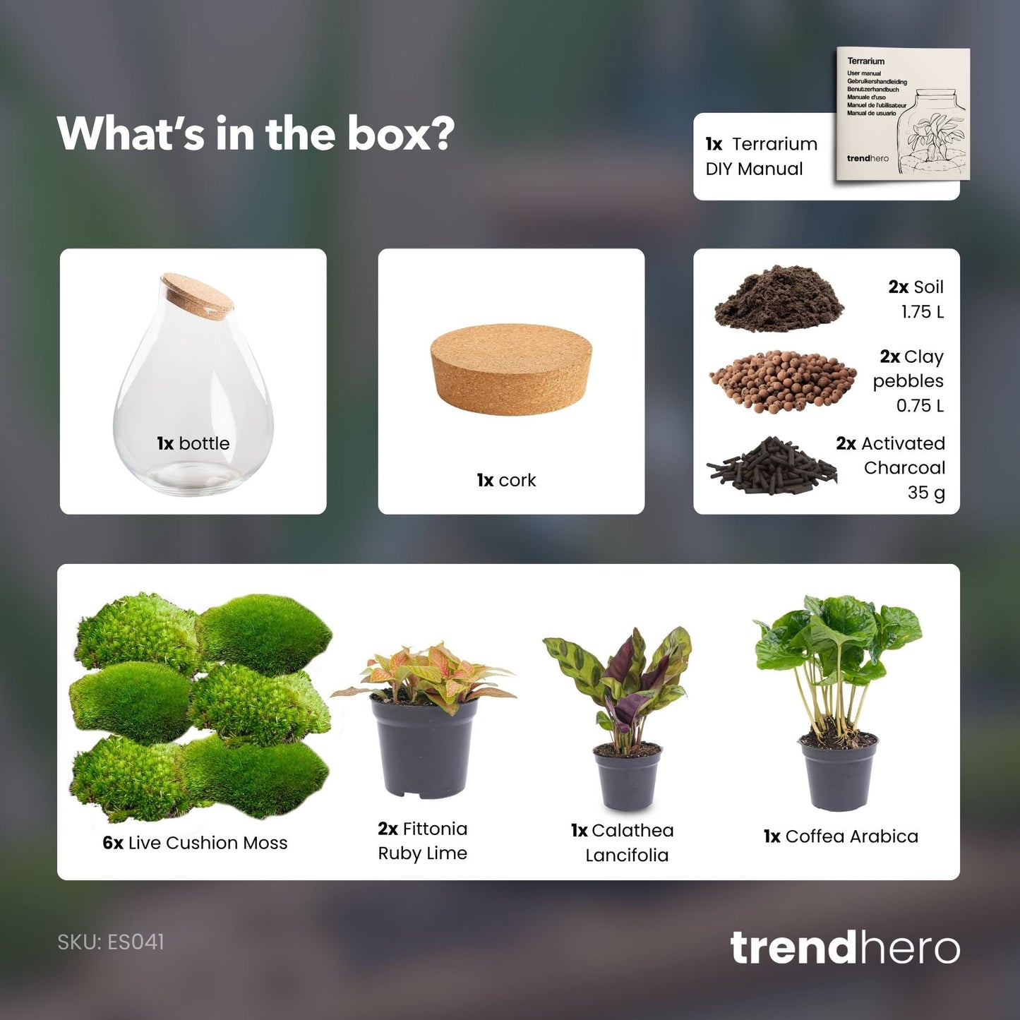 Drop XXL Red - Terrarium with cork - Bottle garden DIY kit - Ø 34 cm ↑ 43 cm