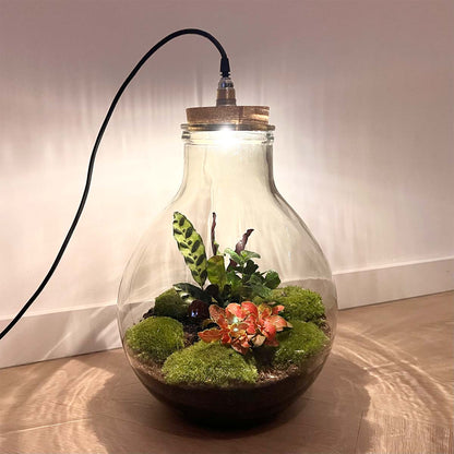 Large Big Paul Red XL terrarium ecosystem with lush plants and built-in LED light, designed for DIY bottle garden by Florazo NL.