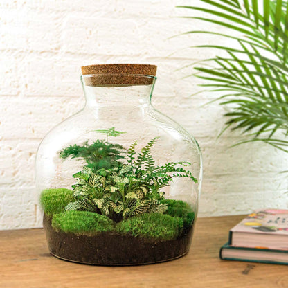 Terrarium DIY Kit - Fat Joe Green + led light - Bottle Garden - ↑ 30 cm | Florazo