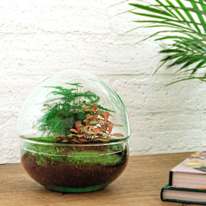 Glass dome terrarium DIY kit by Florazo NL featuring a miniature plant landscape and decorative elements for creating a custom terrarium.