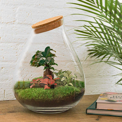 DIY terrarium kit from Florazo NL featuring a glass container with bonsai, stones, and plants for creating a miniature garden.