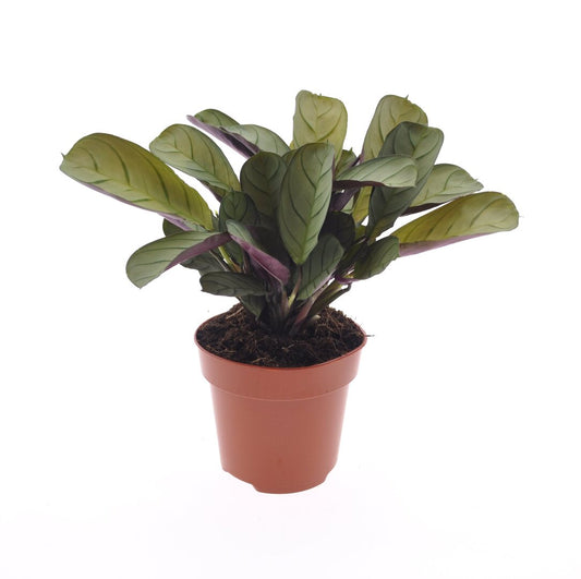 MM-VDE90 - 0