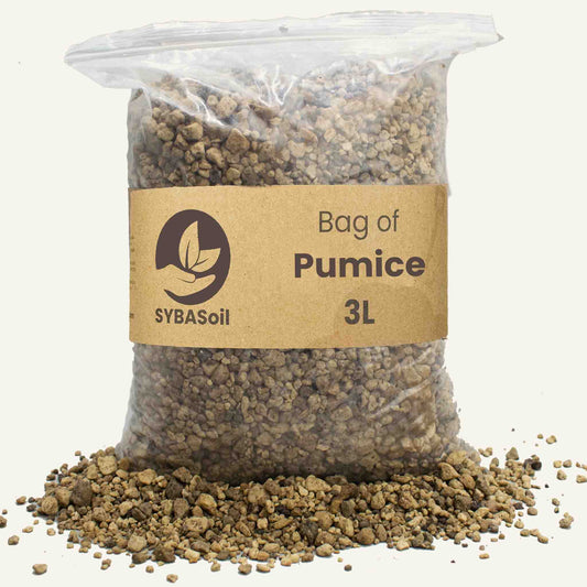 Puimsteen 3L