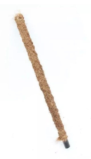 MM-MEC-1329 - 0