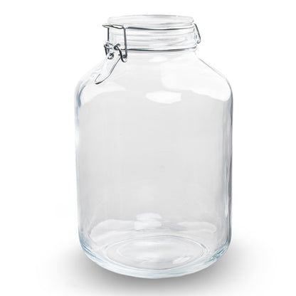 5-liter Weck Fido jar used as a DIY terrarium by Florazo NL, showcasing a glass jar with plants for creative home decor.