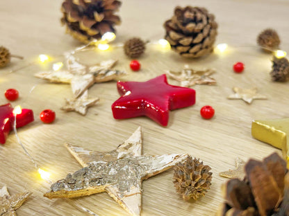 Christmas terrarium decoration kit with plants and eco-friendly elements from Florazo NL for festive indoor decor.