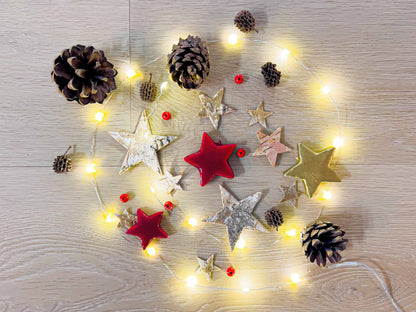 Florazo NL Christmas terrarium decoration kit with festive ornaments and greenery for holiday-themed terrarium displays.