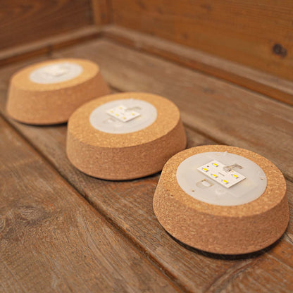 Florazo NL cork with LED light for terrariums, available in three sizes, showcasing the illuminated cork used in plant displays.