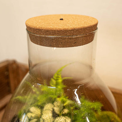 Terrarium cork with integrated LED light by Florazo NL, shown in the image, available in three sizes for decorative lighting.