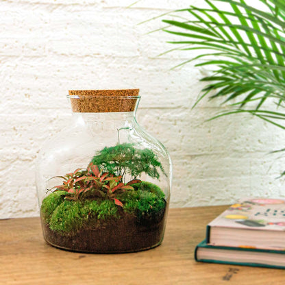 Florazo NL DIY Terrarium Kit with LED lighting featuring a mini ecosystem with plants inside a glass container.