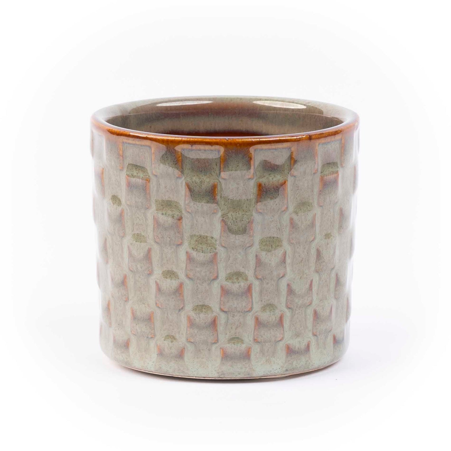 Mini Christmas tree set 6 - Includes pot set Madrid | Florazo