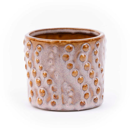 Mini Christmas tree set 6 - Includes pot set Madrid | Florazo