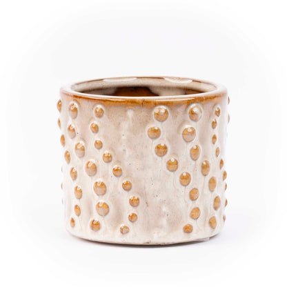 Mini Christmas tree set 6 - Includes pot set Madrid | Florazo