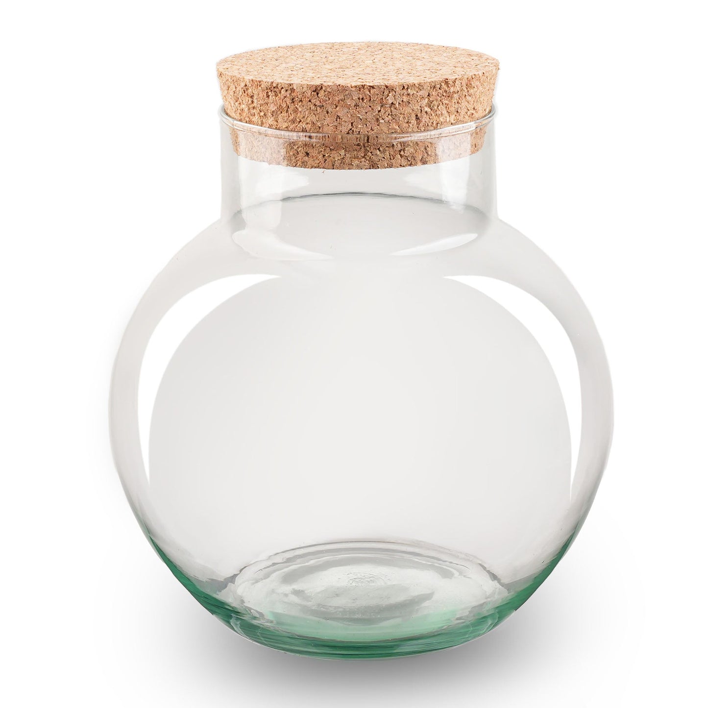 Terrarium bottle garden with cork - Noah - Closed terrarium ↑ 20 cm
