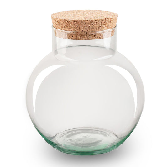 Terrarium bottle garden with cork - Noah - Closed terrarium ↑ 20 cm