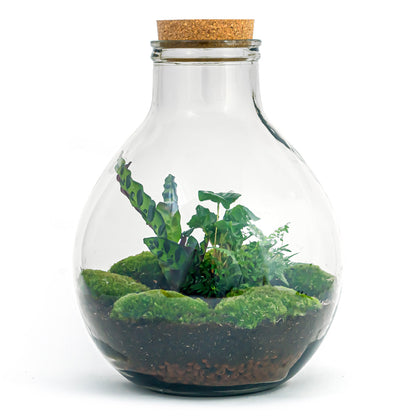 Large DIY terrarium kit by Florazo NL featuring plants, moss, and decorative elements for creating a lush jungle bottle garden.