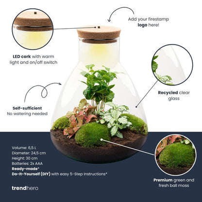 Terrarium Sam - DIY Terrarium Online | Florazo