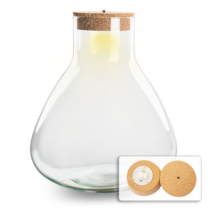 Glass terrarium bottle with cork lid, featuring a DIY Florazo NL terrarium with decorative plants and a small LED lamp inside.