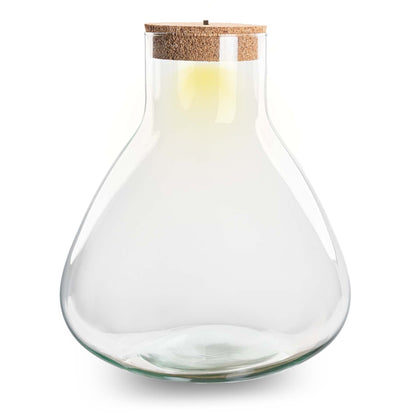 Glass terrarium bottle with cork lid, featuring greenery and small plants, illuminated by built-in LED light.