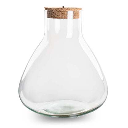 Glass terrarium bottle with cork lid from Florazo NL, featuring lush green plants and decorative moss inside.