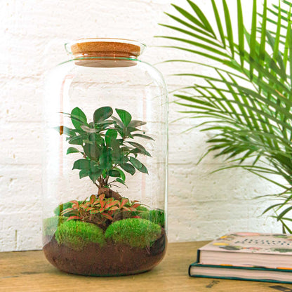 Mini DIY terrarium kit by Florazo NL featuring a glass container with plants, moss, and decorative elements for creating a mini ecosystem.