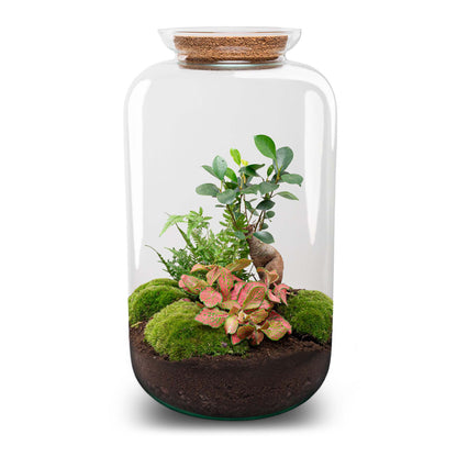 Red glass terrarium with plants, part of Florazo NL DIY terrarium kit, featuring succulents and decorative elements.