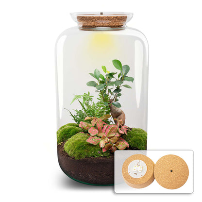 Florazo NL DIY terrarium kit featuring a glass container with greenery, cork, and decorative elements for creating a mini ecosystem.