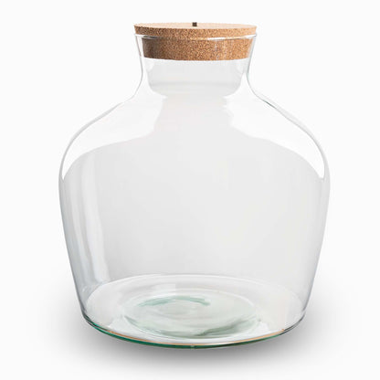 Glass terrarium bottle with cork and LED light, featuring lush green plants inside, by Florazo NL.