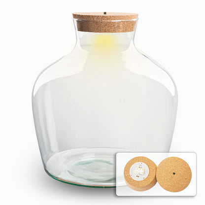 Glass terrarium bottle with cork lid and built-in LED light, perfect for DIY plant arrangements by Florazo NL.