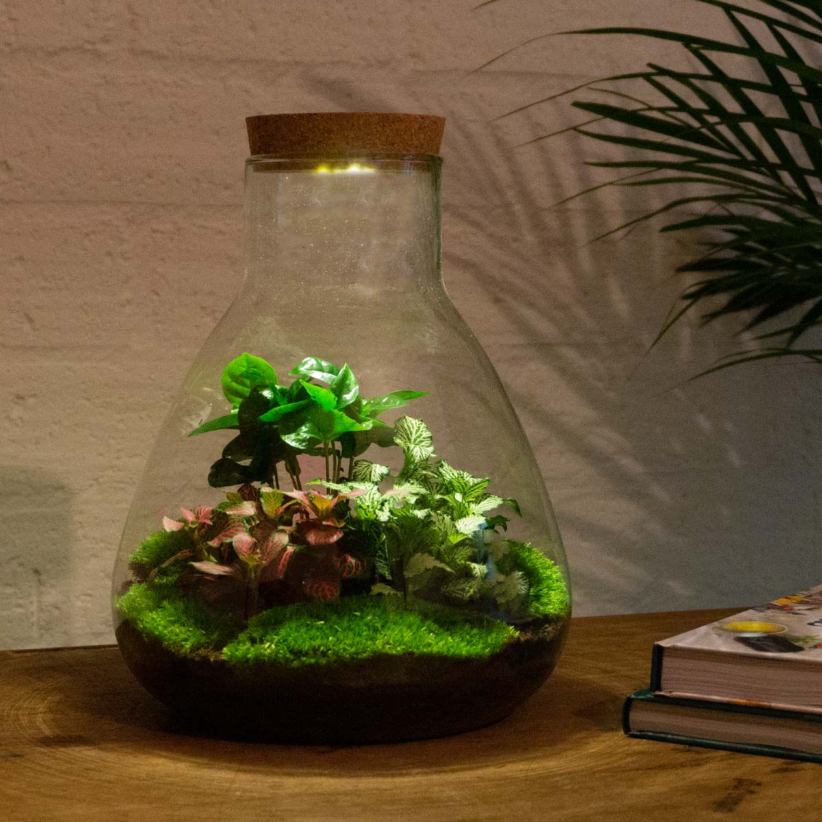 Sam Coffea - DIY Terrarium Online | Florazo