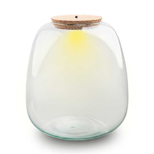 Terrarium bottle with cork - Model: Emma with led cork  - ↑ 25 cm -  Ø 23 cm
