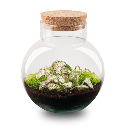 Florazo NL DIY terrarium kit with a pink tiger-themed glass container filled with plants and decorative elements.