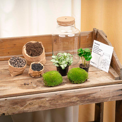 Glass terrarium kit with small plants and decorative elements, designed for DIY terrarium projects by Florazo NL.