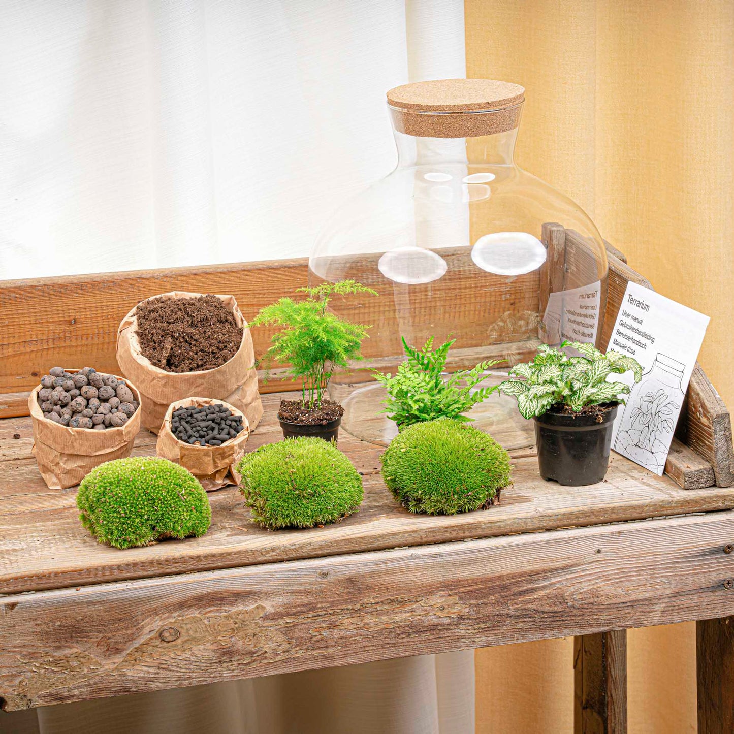 Terrarium DIY Kit - Fat Joe Green + led light - Bottle Garden - ↑ 30 cm