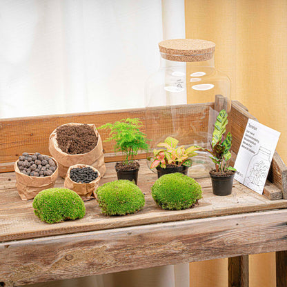 Florazo NL DIY terrarium kit with glass container, plants, and decorative elements for creating a personalized miniature garden.