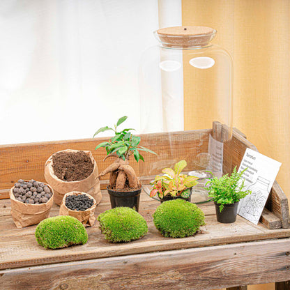 DIY Terrarium Kit by Florazo NL featuring glass container, plants, and accessories for creating a stylish indoor terrarium.