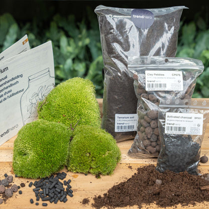 Green moss-filled glass terrarium kit with plants, perfect for DIY garden projects, by Florazo NL.