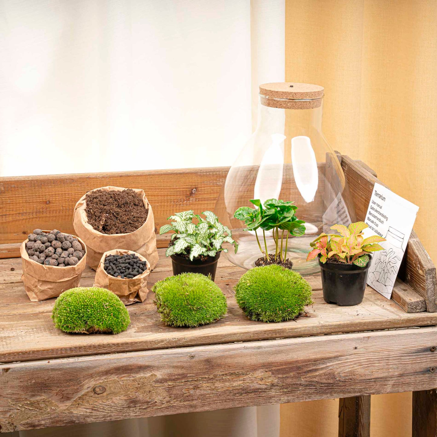 Terrarium Sam - DIY Terrarium Online | Florazo