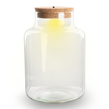 Terrarium bottle garden - Little Milky with led cork - Ø 17 cm ↑ 25 cm - Terrarium with cork