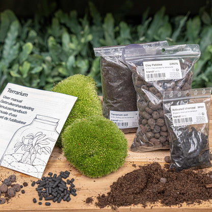Small Florazo NL DIY terrarium kit with plants, glass container, and accessories for creating a stylish plant terrarium.
