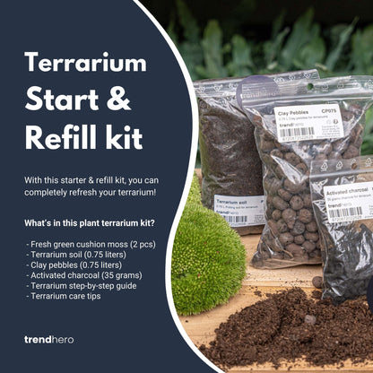 Florazo NL DIY terrarium refill and starter kit with moss, glass container, and plant materials for creating small plant terrariums.